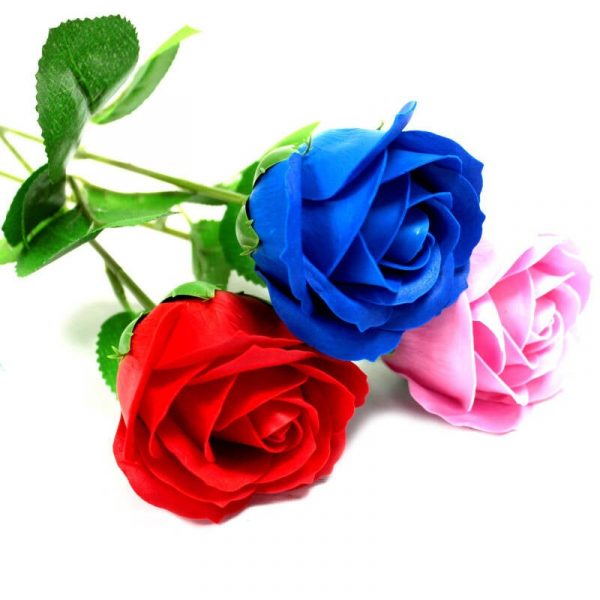 Rosa simple — Rosa Simple - Rosa